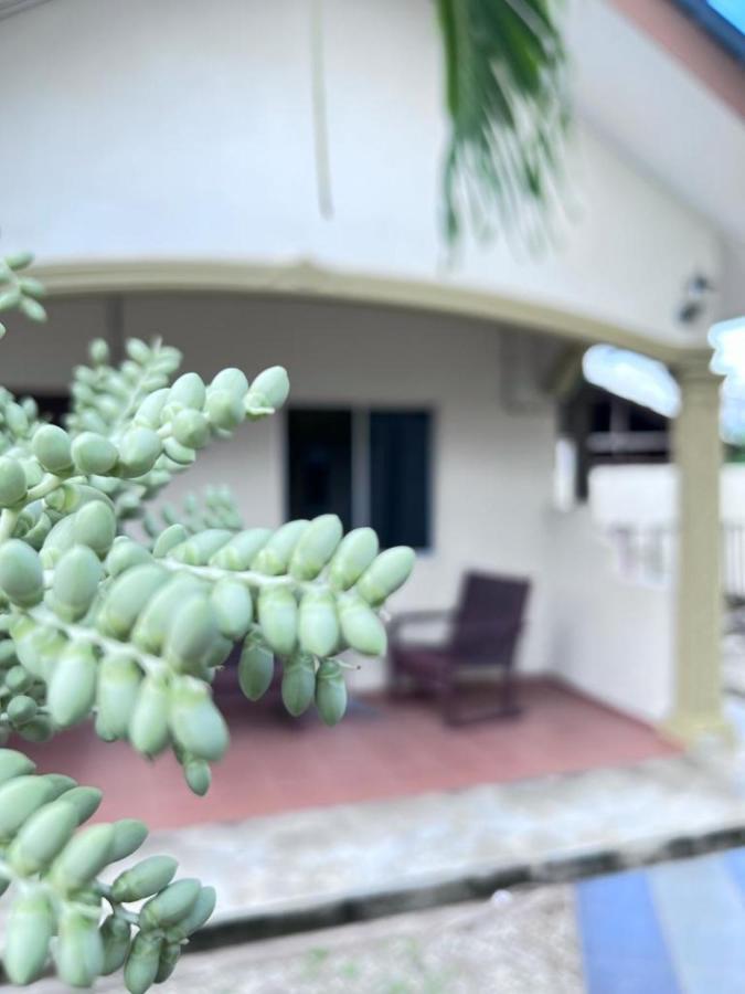 Dhania Cenang Beach Motel Pantai Cenang  Exterior foto